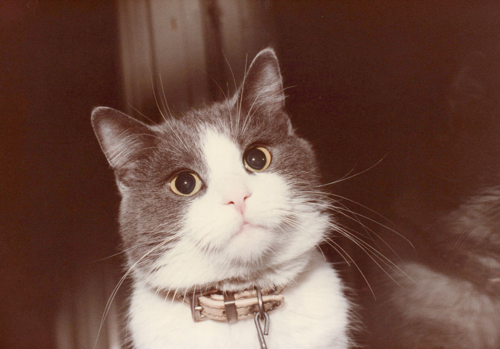 1983_Family_0096.jpg