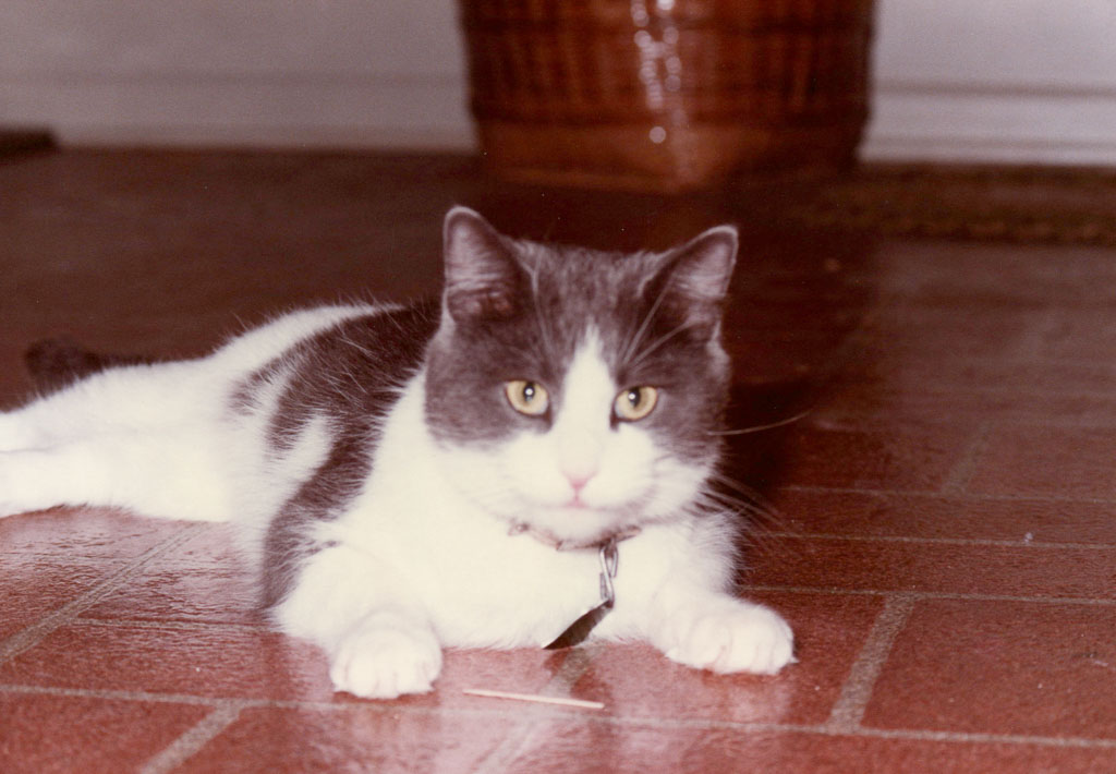 1983_Family_0098.jpg
