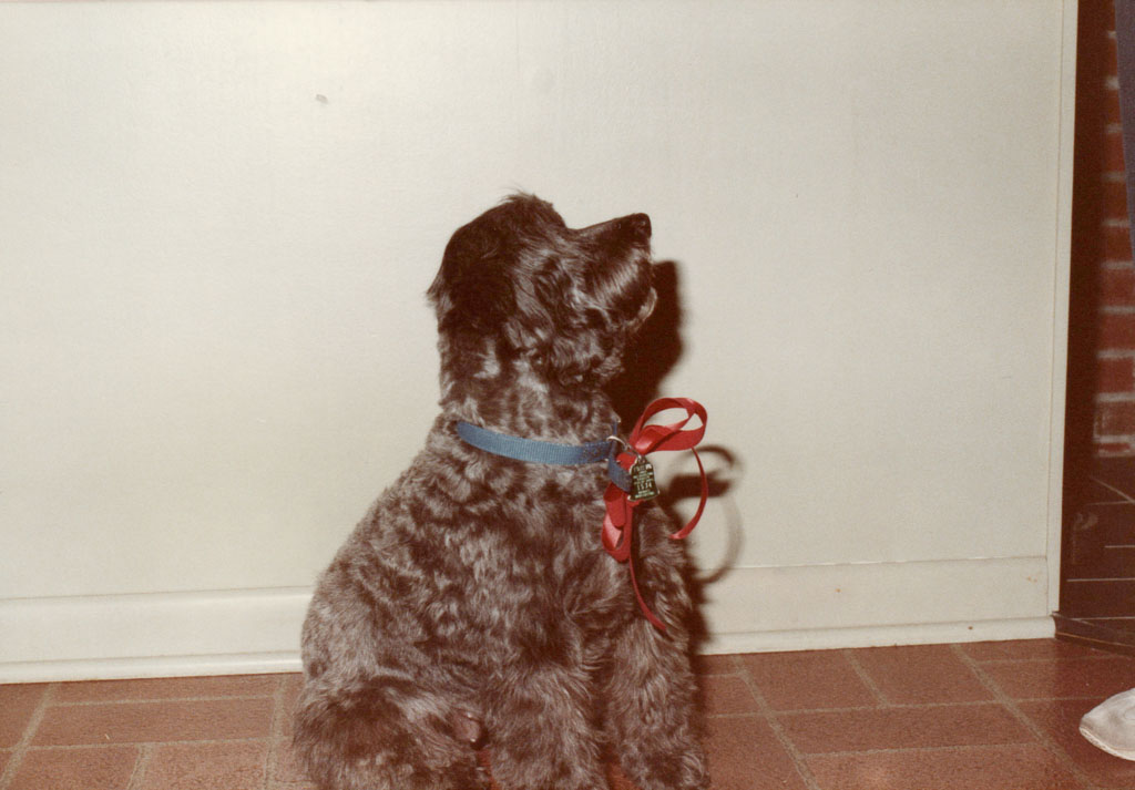 1983_Family_0108.jpg
