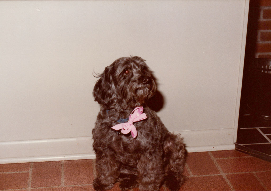 1983_Family_0113.jpg