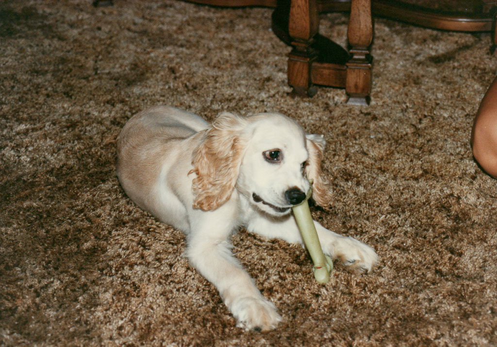 1985_Family-Photos_0007.jpg