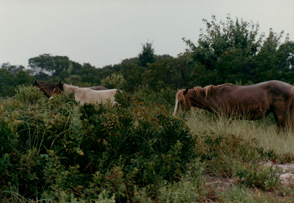 1985_Family-Photos_0039.jpg