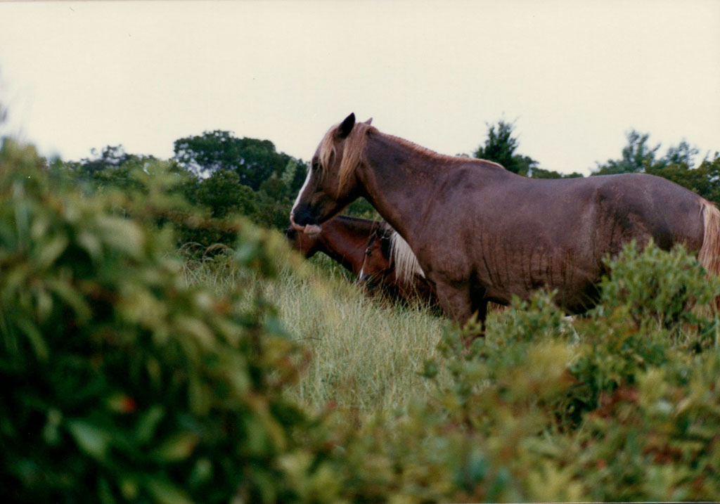 1985_Family-Photos_0040.jpg