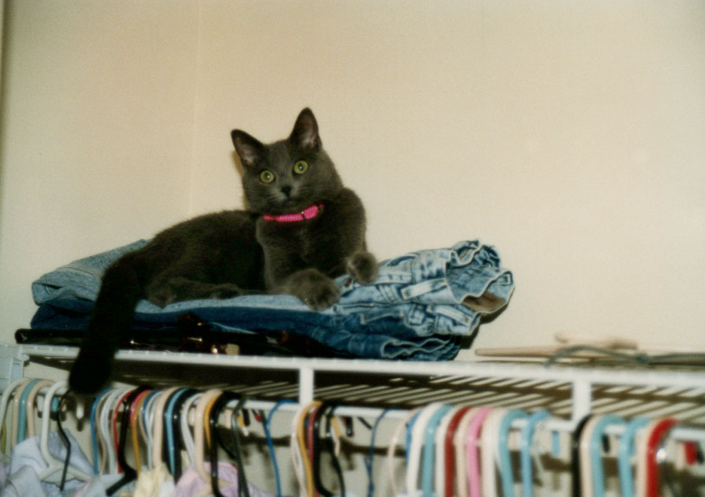 1988_Family-_0033.jpg
