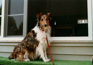 1988_Family-_0011.jpg