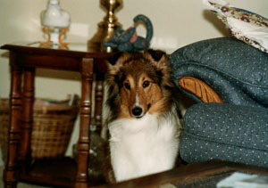1988_Family-_0015.jpg