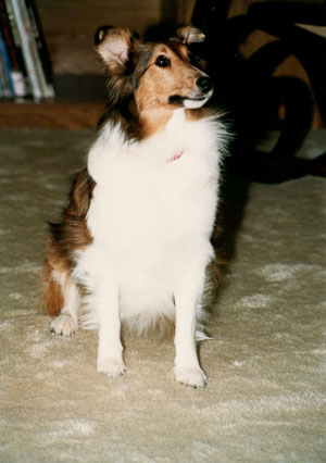 1988_Family-_0016.jpg