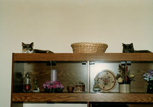 1988_Family-_0017.jpg