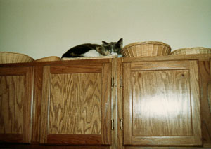 1988_Family-_0018.jpg
