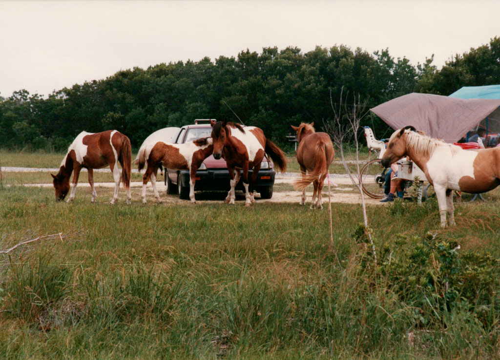 1980s_Family-Late-80s_0103.jpg