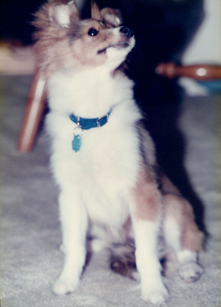 1990_Various-Family_0077.jpg