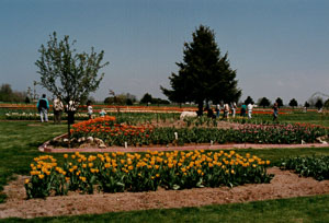 1990_Holland-MI_0036.jpg