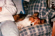 Old-Photos-20100501-001.jpg
