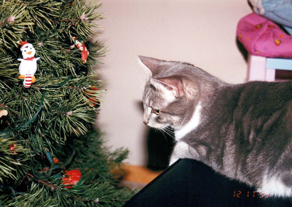 1999_December_Christmas_0066_a.jpg