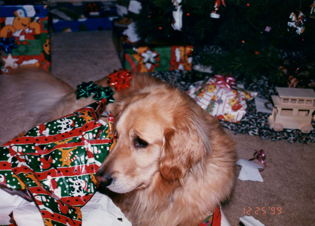 1999_December_Christmas_0092.jpg