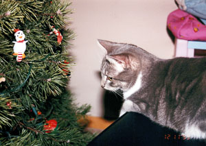 1999 Christmastime