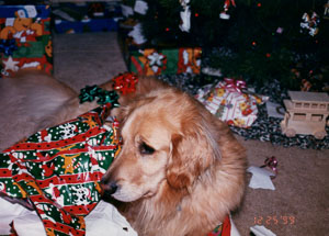 1999_December_Christmas_0092.jpg