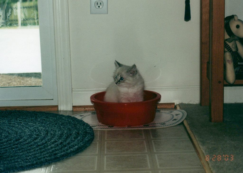 1990s_Late-90s-Early-2000s_0004.jpg