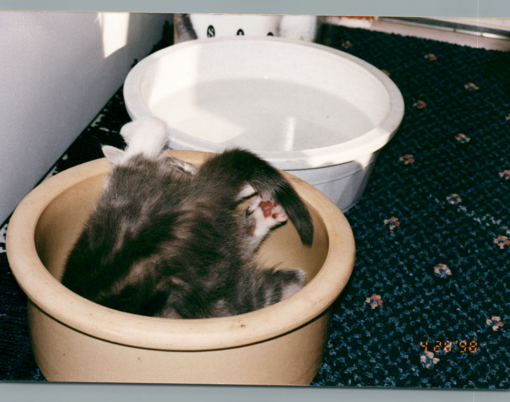 1990s_Late-90s-Early-2000s_0008.jpg