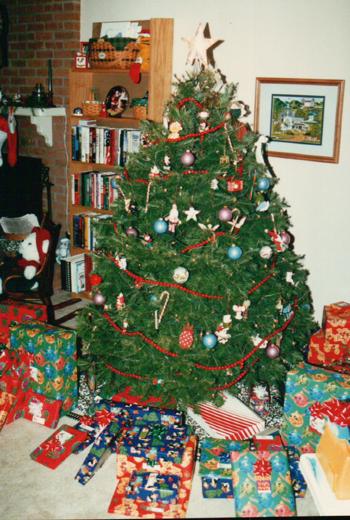 Doxie-1167.jpg