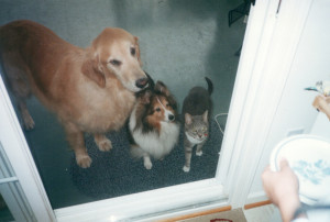 90s-Animals-At-Door.jpg