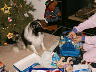 2003-Christmas-44-December-25,-2003.jpg