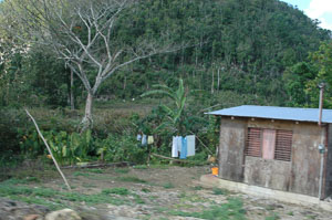 Jamaica-2005-19.jpg
