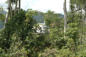 Jamaica-2005-35.jpg