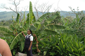 Jamaica-2005-40.jpg