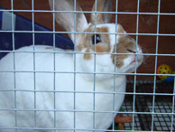 2006-Various-Family-6-September-10,-2006.jpg