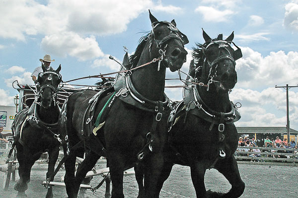 Great-Frederick-Fair-2006-20130309-002.jpg