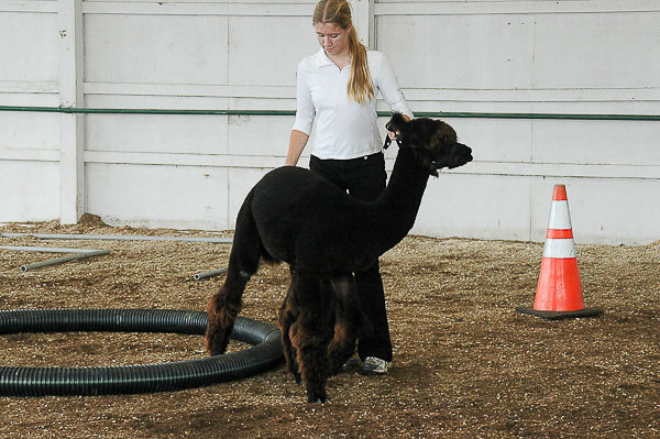 Great-Frederick-Fair-2006-20130309-011.jpg