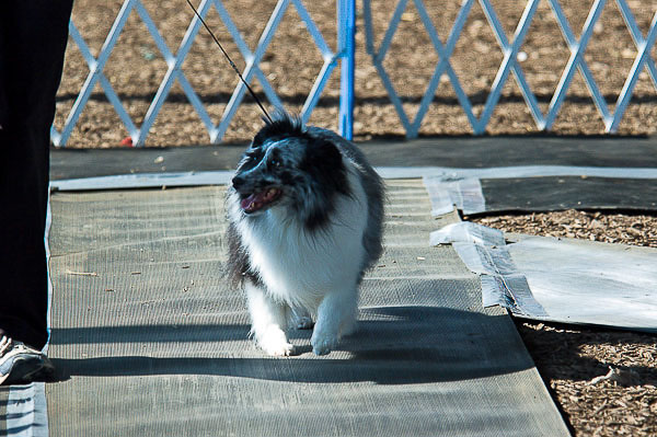 Great-Frederick-Fair-2006-20130309-030.jpg
