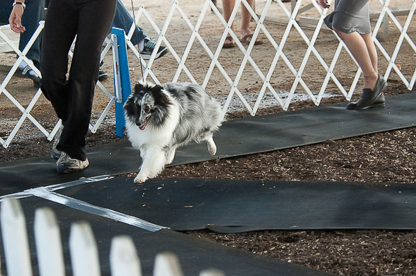 Great-Frederick-Fair-2006-20130309-031.jpg
