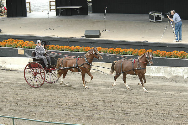 Great-Frederick-Fair-2006-20130309-050.jpg