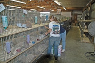 Great-Frederick-Fair-2006-20130309-005.jpg