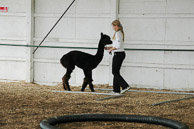 Great-Frederick-Fair-2006-20130309-010.jpg