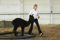 Great-Frederick-Fair-2006-20130309-018.jpg