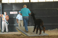 Great-Frederick-Fair-2006-20130309-022.jpg