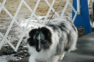 Great-Frederick-Fair-2006-20130309-025.jpg