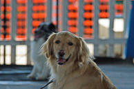 Great-Frederick-Fair-2006-20130309-033.jpg