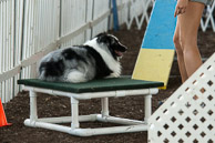 Great-Frederick-Fair-2006-20130309-035.jpg