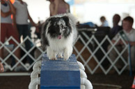 Great-Frederick-Fair-2006-20130309-036.jpg