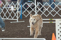 Great-Frederick-Fair-2006-20130309-038.jpg