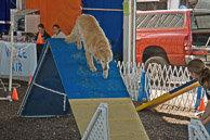 Great-Frederick-Fair-2006-20130309-041.jpg