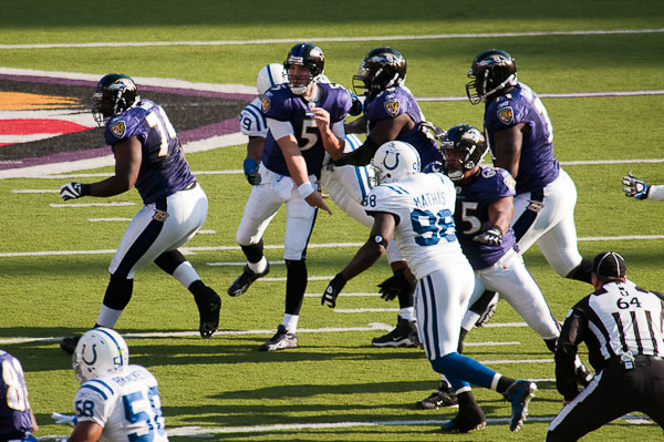 Ravens_Colts11_22_2009_0259.jpg