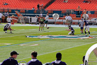 Ravens_01-04-2009_215Dolphins.jpg