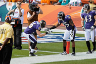 Ravens_01-04-2009_234Dolphins.jpg