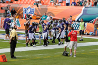 Ravens_01-04-2009_237Dolphins.jpg