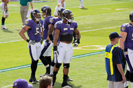 Ravens_01-04-2009_242Dolphins.jpg